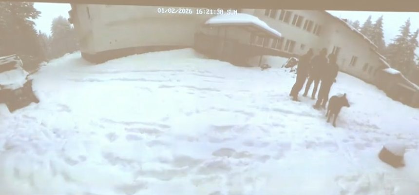 записи Петрохан