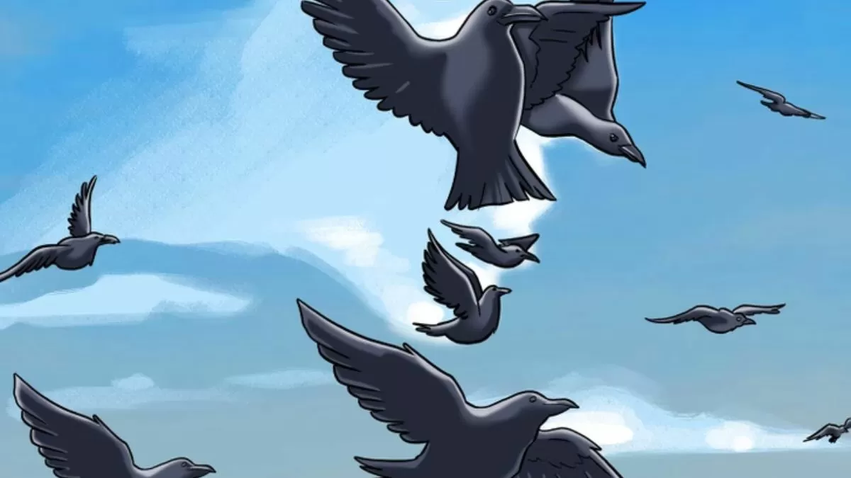 Гигантски орел, заснет в Бро… виж още… ⤵️ 3 Image