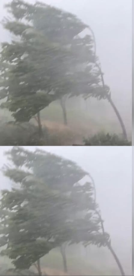 Халата нахлува с 100 км в час, идва..