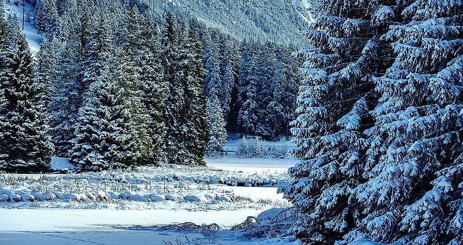 Неописуем ужас ни връхлита на 2 февруари, всички са предупредени!