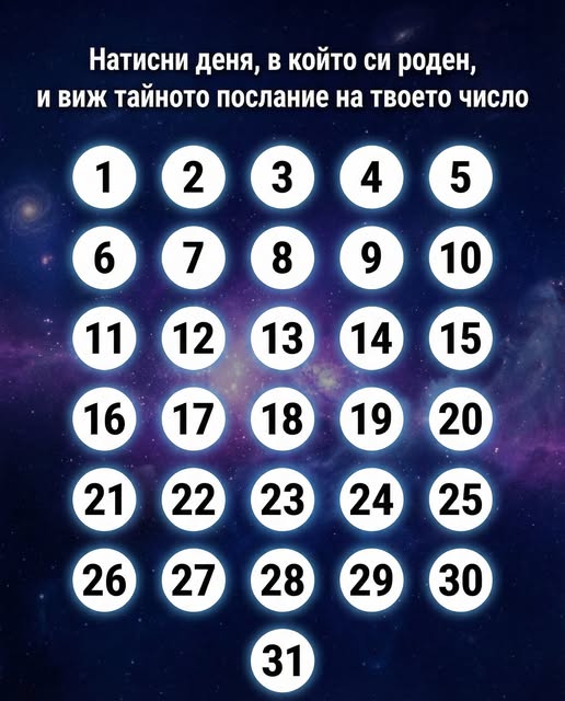 657300210 1405720791358716 8248365203075297291 n