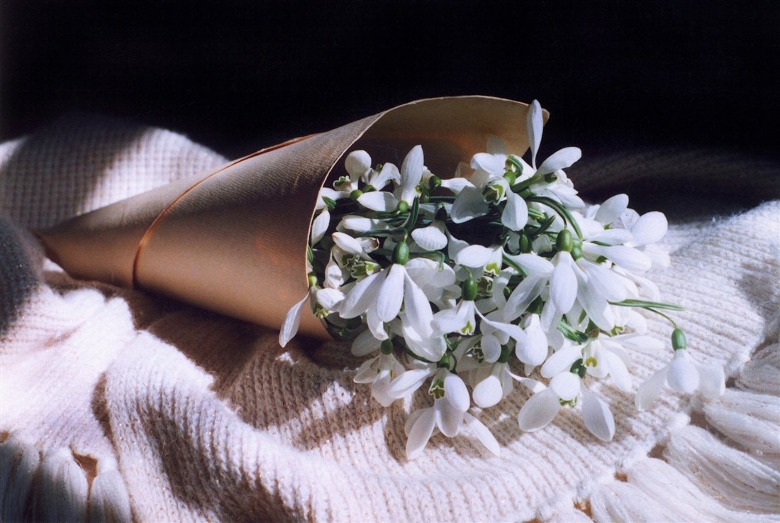 НИКОГА не подарявайте това цвете на жена за 8 март - носи нещастие! - 13 букетче кокичета