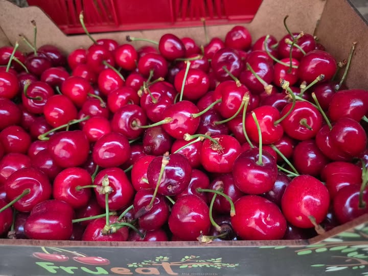 678963760 972638945454564 4651736616653450490 n