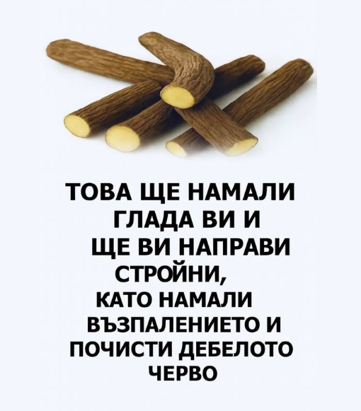 Корен от сладник: Естествено богатство с многобройни ползи