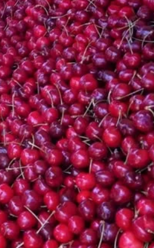 Пуснаха първите череши-Не е истина на каква цена само