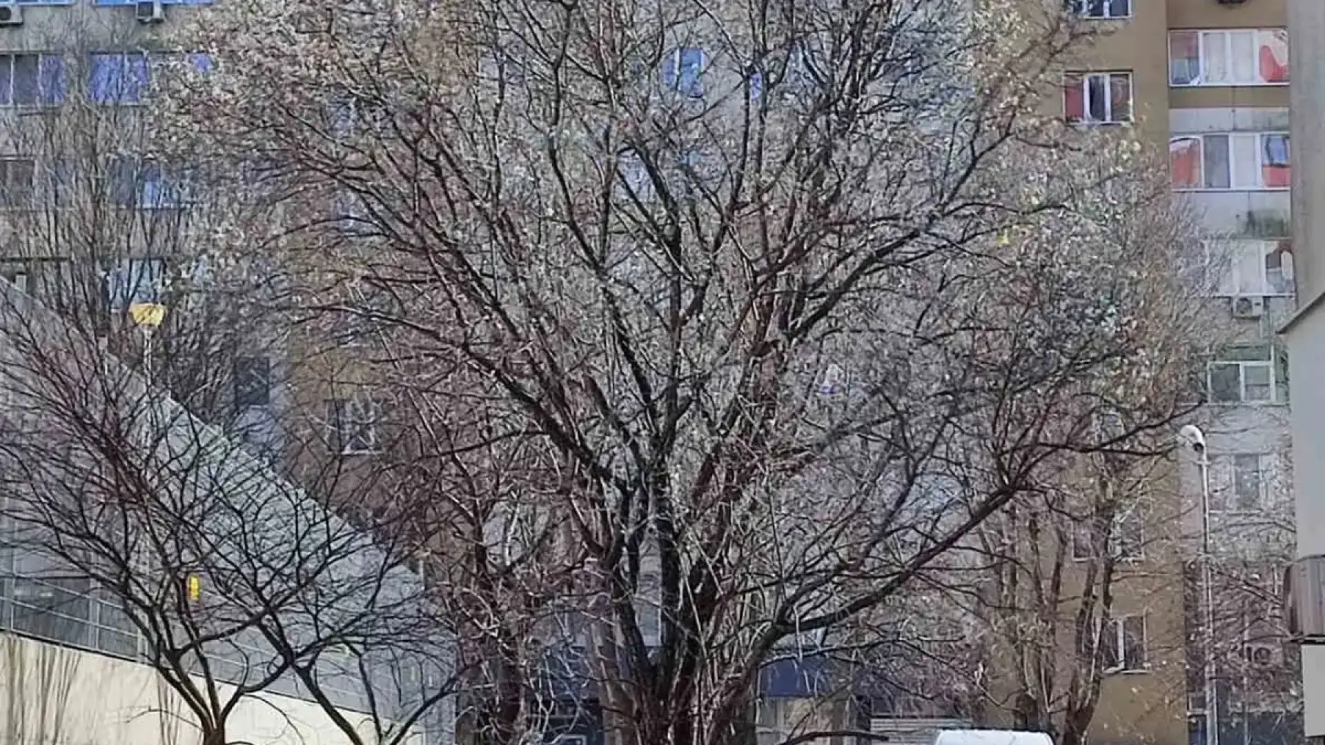 Бургас побеля