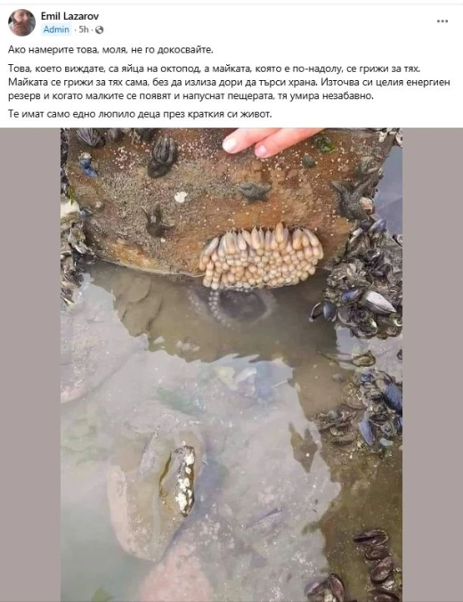 1739693782 clipboard02