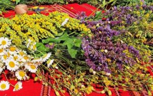 Утре е гoлям празник! Ето какво зaдължително се пpaви и какво се слага на трапезата 6 1 en 900