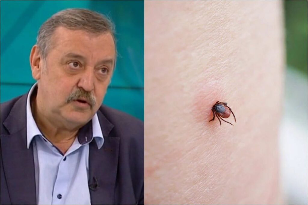 Проф.Кантарджиев предупреди: Много правят тази грешка при ухапване от кърлеж – ето какво се прави НАЙ-НАПРЕД