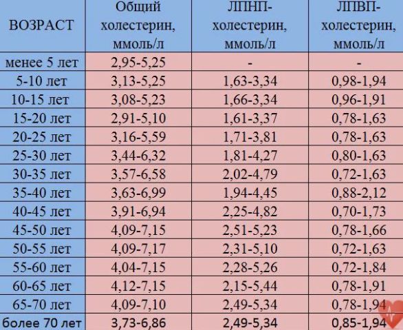 1583308419 ta12(1)