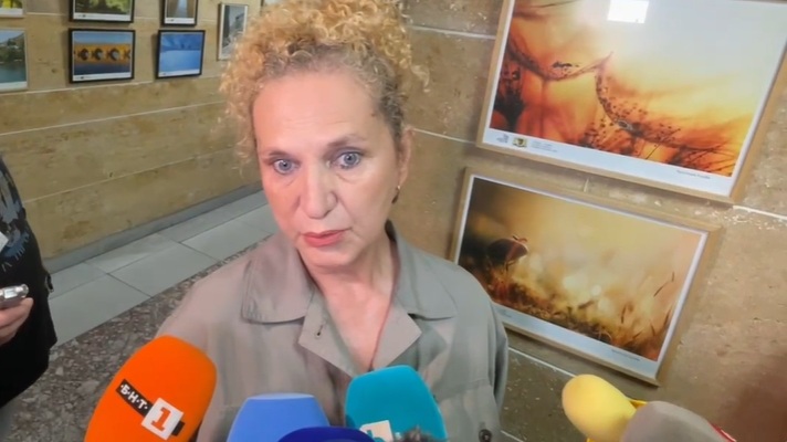 прокурор Черешарова